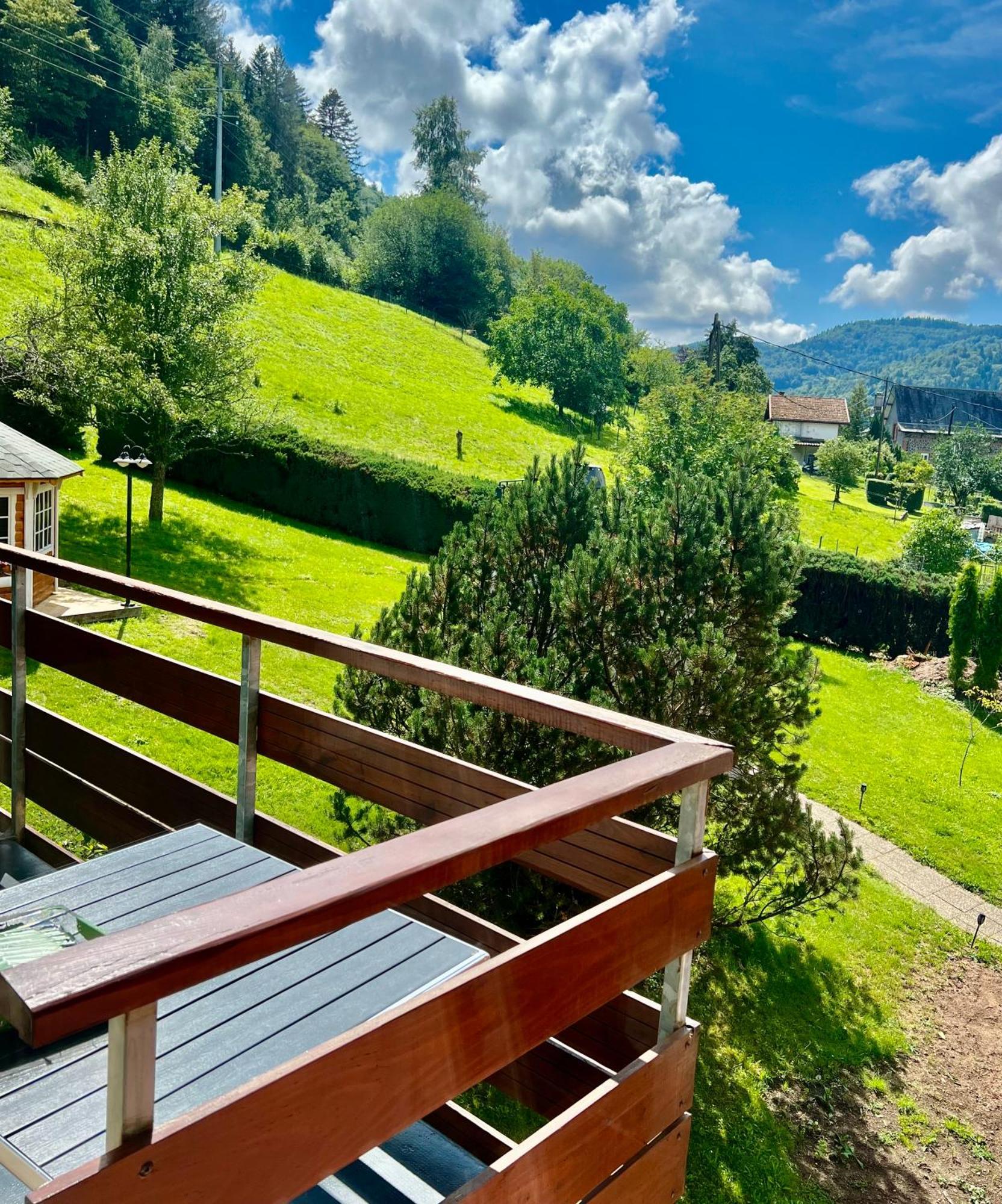 Logis Hotel, Chalets Et Restaurant Les Chatelmines La Bresse Kültér fotó