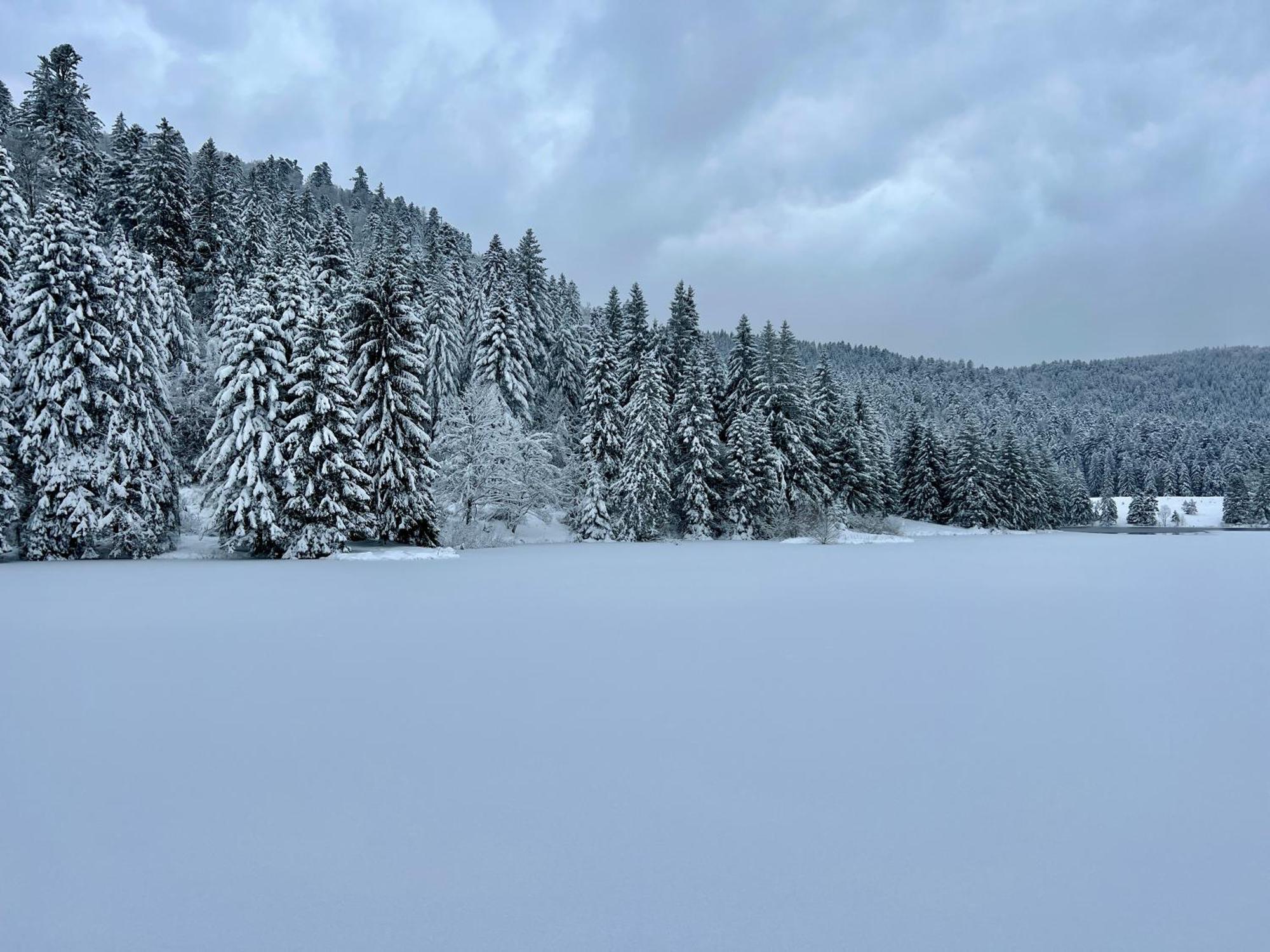 Logis Hotel, Chalets Et Restaurant Les Chatelmines La Bresse Kültér fotó